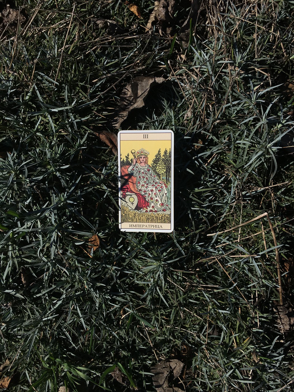 tarot, empress, background-4927615.jpg